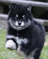 processed/6ca180fc-7f37-4648-817e-e89e0fd8d599/listing/e55ec571-4484-45ce-9827-43e1a6b1792f/2ceadbf1-6ff0-4a3f-bfaf-4863153f61ea