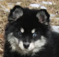 processed/6ca180fc-7f37-4648-817e-e89e0fd8d599/listing/e55ec571-4484-45ce-9827-43e1a6b1792f/30910797-64cd-4686-9346-48e3ef64da94