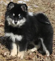 processed/6ca180fc-7f37-4648-817e-e89e0fd8d599/listing/e55ec571-4484-45ce-9827-43e1a6b1792f/54124c24-58e7-41c6-a532-0dd3b8503315