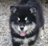 processed/6ca180fc-7f37-4648-817e-e89e0fd8d599/listing/e55ec571-4484-45ce-9827-43e1a6b1792f/8a1dbb2b-64a3-42c5-84df-1246953d6d77