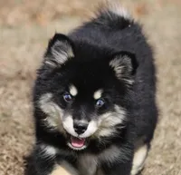 processed/6ca180fc-7f37-4648-817e-e89e0fd8d599/listing/e55ec571-4484-45ce-9827-43e1a6b1792f/c7efddcc-ed08-42e7-8e8a-14e3797d9f50