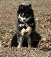 processed/6ca180fc-7f37-4648-817e-e89e0fd8d599/listing/e55ec571-4484-45ce-9827-43e1a6b1792f/e34442a6-0496-4328-975b-52561f5b6ab5