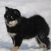 processed/6ca180fc-7f37-4648-817e-e89e0fd8d599/listing/e55ec571-4484-45ce-9827-43e1a6b1792f/ea6f576a-1f27-442f-976e-6065702a155c