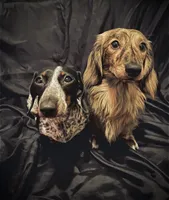 processed/6ca595de-9334-49b9-9bc5-db93f3a47dec/facility/6f92688e-6129-41d4-b284-11f1ced7a1e0