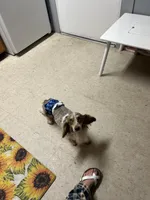 processed/6ca595de-9334-49b9-9bc5-db93f3a47dec/facility/df41fc33-7810-46c5-8e60-215448ef8767