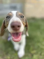 processed/6ca595de-9334-49b9-9bc5-db93f3a47dec/facility/ea90be3e-1bb6-4833-a11b-89a778113987