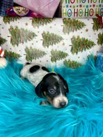 processed/6ca595de-9334-49b9-9bc5-db93f3a47dec/listing/10f36b80-7064-42f8-8934-71baa8aaa41e/07d84733-844b-43e5-8063-c6400a772de7