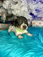 processed/6ca595de-9334-49b9-9bc5-db93f3a47dec/listing/10f36b80-7064-42f8-8934-71baa8aaa41e/1c6633dc-cb72-4625-9def-20ae679d3cf3