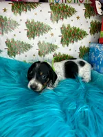 processed/6ca595de-9334-49b9-9bc5-db93f3a47dec/listing/10f36b80-7064-42f8-8934-71baa8aaa41e/3d7156d3-685e-4018-80af-09afcf423274