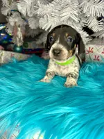 processed/6ca595de-9334-49b9-9bc5-db93f3a47dec/listing/10f36b80-7064-42f8-8934-71baa8aaa41e/64b59556-a436-4ed6-963d-f81ea1845a7d