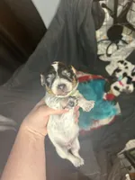 processed/6ca595de-9334-49b9-9bc5-db93f3a47dec/listing/10f36b80-7064-42f8-8934-71baa8aaa41e/8028533e-1549-4f83-b2cd-bf45bafc4a26