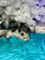 processed/6ca595de-9334-49b9-9bc5-db93f3a47dec/listing/10f36b80-7064-42f8-8934-71baa8aaa41e/e1faae53-8007-4ab9-a47a-68a909c32020