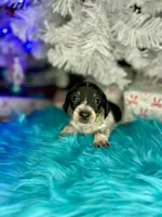 processed/6ca595de-9334-49b9-9bc5-db93f3a47dec/listing/10f36b80-7064-42f8-8934-71baa8aaa41e/ebd5bd4c-6375-45ea-8c6f-464fe1a433d5