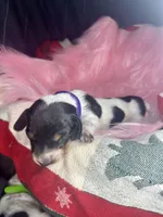 processed/6ca595de-9334-49b9-9bc5-db93f3a47dec/listing/c02d61e9-108c-4830-b439-392038de192c/04da23f9-a5e9-4420-928b-73391b2fcd42