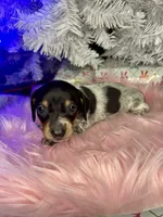 processed/6ca595de-9334-49b9-9bc5-db93f3a47dec/listing/c02d61e9-108c-4830-b439-392038de192c/0ed97d37-e1ef-4014-a744-969c00b46168