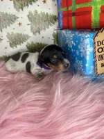 processed/6ca595de-9334-49b9-9bc5-db93f3a47dec/listing/c02d61e9-108c-4830-b439-392038de192c/127040fd-00f2-4656-9e74-dead4d1c7a59