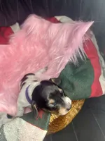 processed/6ca595de-9334-49b9-9bc5-db93f3a47dec/listing/c02d61e9-108c-4830-b439-392038de192c/686bf526-3443-464e-8ab5-c9198c29b22d