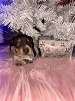 processed/6ca595de-9334-49b9-9bc5-db93f3a47dec/listing/c02d61e9-108c-4830-b439-392038de192c/a322d875-adbb-4903-80da-46cd55cd05f0