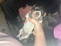 processed/6ca595de-9334-49b9-9bc5-db93f3a47dec/listing/c02d61e9-108c-4830-b439-392038de192c/c0737796-bdad-4f48-9c12-7a1d92d0c1d8