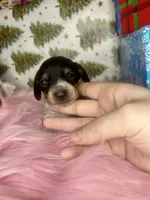 processed/6ca595de-9334-49b9-9bc5-db93f3a47dec/listing/c02d61e9-108c-4830-b439-392038de192c/ed7c919a-8c3e-416c-b994-36d2817de4a3