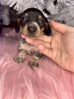 processed/6ca595de-9334-49b9-9bc5-db93f3a47dec/listing/c02d61e9-108c-4830-b439-392038de192c/ff0c71b8-7486-463f-ae8c-5f557bcd20ab