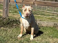 processed/6caa050f-775e-4a4a-be33-98b31ac81855/listing/528f7fdf-8769-4c65-83c5-35aef3d6a431/63942825-dd0a-4877-8abc-df7cf00f220c