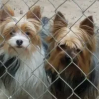 processed/6caa5903-aa86-408e-92bf-628c404b6170/facility/0f1ab82a-503d-41e2-885a-58034a4a80a3