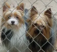 processed/6caa5903-aa86-408e-92bf-628c404b6170/facility/0f1ab82a-503d-41e2-885a-58034a4a80a3