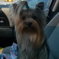 processed/6caa5903-aa86-408e-92bf-628c404b6170/facility/16794de4-3cf3-4880-9472-a9b7f1a4ff62