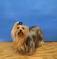 processed/6caa5903-aa86-408e-92bf-628c404b6170/facility/1bafaab5-1f33-425d-9fda-9f2eb8333d34