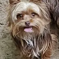 processed/6caa5903-aa86-408e-92bf-628c404b6170/facility/23b1970e-6e52-4d10-8751-2bb9c3509409