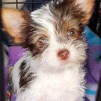 processed/6caa5903-aa86-408e-92bf-628c404b6170/facility/37b61001-90d3-45ee-91c4-5ff84bff3cbb