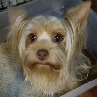 processed/6caa5903-aa86-408e-92bf-628c404b6170/facility/47b157bf-a3a7-467f-a7f6-ea8dbe4c5f34