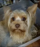 processed/6caa5903-aa86-408e-92bf-628c404b6170/facility/47b157bf-a3a7-467f-a7f6-ea8dbe4c5f34