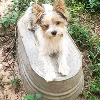 processed/6caa5903-aa86-408e-92bf-628c404b6170/facility/7f72b87e-daf6-4e9f-91e4-6e24353687dd