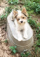 processed/6caa5903-aa86-408e-92bf-628c404b6170/facility/7f72b87e-daf6-4e9f-91e4-6e24353687dd