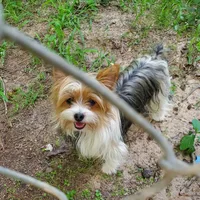 processed/6caa5903-aa86-408e-92bf-628c404b6170/facility/c396385b-49a6-4cce-a19f-edd66f9754a9