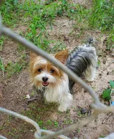 processed/6caa5903-aa86-408e-92bf-628c404b6170/facility/c396385b-49a6-4cce-a19f-edd66f9754a9