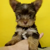 processed/6caa5903-aa86-408e-92bf-628c404b6170/facility/d81fb2d3-90c7-4fc1-8e89-c8dbf9b3ffc4