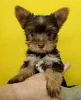 processed/6caa5903-aa86-408e-92bf-628c404b6170/facility/d81fb2d3-90c7-4fc1-8e89-c8dbf9b3ffc4