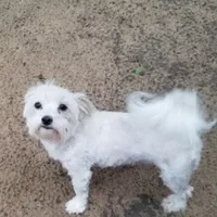 processed/6caa5903-aa86-408e-92bf-628c404b6170/facility/edd12068-75aa-4947-8f84-af84fb6b5b30