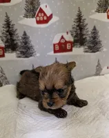 processed/6caa5903-aa86-408e-92bf-628c404b6170/listing/1ed900f7-f766-4a21-8309-e4a06923ba8d/0077f5a8-96dc-45cc-852e-6f20fb26fa0a