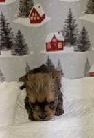 processed/6caa5903-aa86-408e-92bf-628c404b6170/listing/1ed900f7-f766-4a21-8309-e4a06923ba8d/1c3ee55b-5e90-4033-b6f9-8a75ac3b01a1