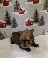 processed/6caa5903-aa86-408e-92bf-628c404b6170/listing/1ed900f7-f766-4a21-8309-e4a06923ba8d/203d8464-68e2-41b1-9f35-bbf55dbd0d84