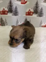 processed/6caa5903-aa86-408e-92bf-628c404b6170/listing/1ed900f7-f766-4a21-8309-e4a06923ba8d/2cce1322-0e9a-47fb-a044-1615a80a9c4f