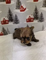 processed/6caa5903-aa86-408e-92bf-628c404b6170/listing/1ed900f7-f766-4a21-8309-e4a06923ba8d/4a7be657-1fcf-4e47-a62e-6e588f86e1be