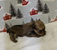 processed/6caa5903-aa86-408e-92bf-628c404b6170/listing/1ed900f7-f766-4a21-8309-e4a06923ba8d/538e0bfd-893b-4e7b-bb57-33a9ee497cc4