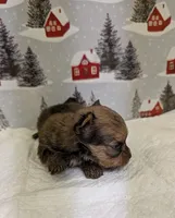 processed/6caa5903-aa86-408e-92bf-628c404b6170/listing/1ed900f7-f766-4a21-8309-e4a06923ba8d/f1715a6a-2588-476e-a81e-3684e8352874