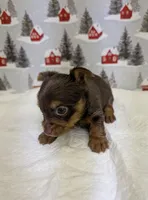 processed/6caa5903-aa86-408e-92bf-628c404b6170/listing/4c9135f5-e0ac-497b-ac42-140a2123ea55/3ced6535-773e-4d7a-b5ce-71b46ae6305d