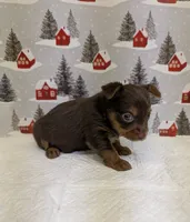 processed/6caa5903-aa86-408e-92bf-628c404b6170/listing/4c9135f5-e0ac-497b-ac42-140a2123ea55/4acc0ef4-892e-44a1-862c-a588103f3ac9